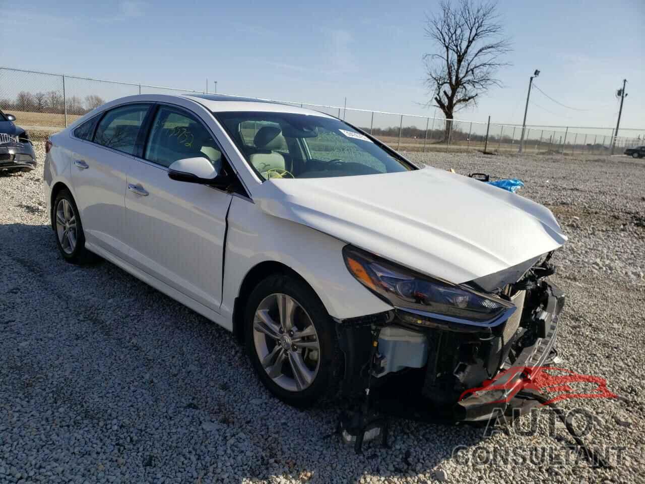 HYUNDAI SONATA 2018 - 5NPE34AF6JH719247