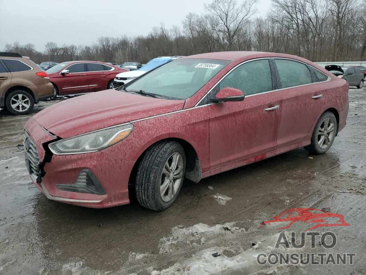 HYUNDAI SONATA 2018 - 5NPE34AF1JH646949