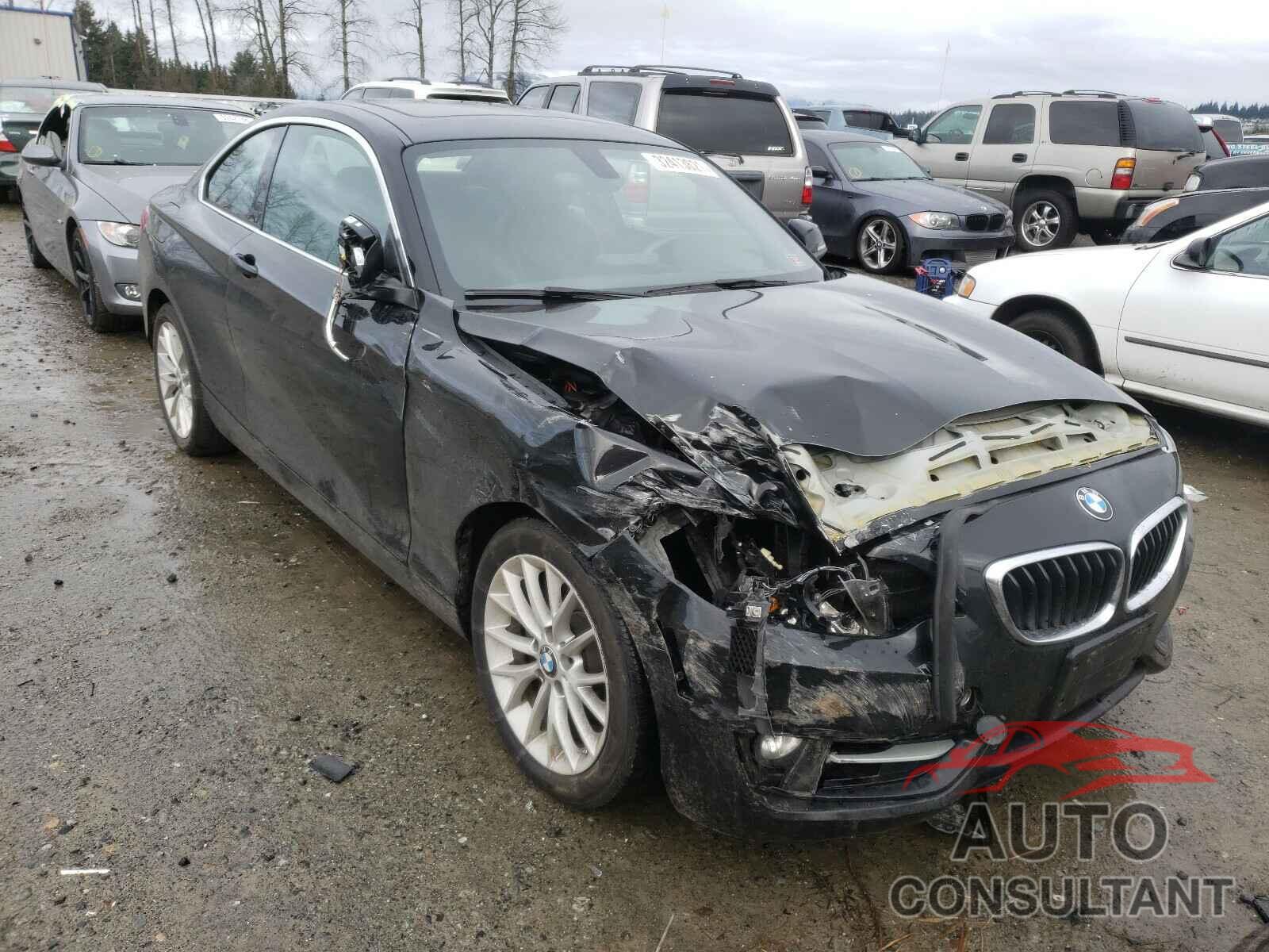 BMW 2 SERIES 2016 - WBA1F9C59GV546062