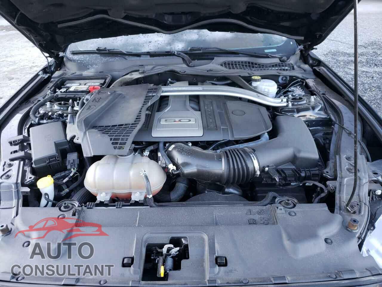 FORD MUSTANG 2019 - 1FA6P8CF1K5103802