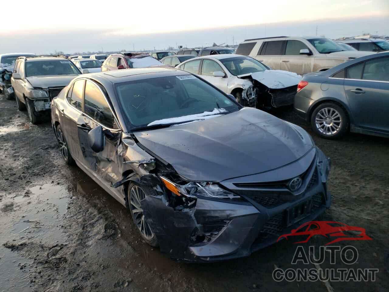 TOYOTA CAMRY 2019 - 4T1B11HKXKU763085
