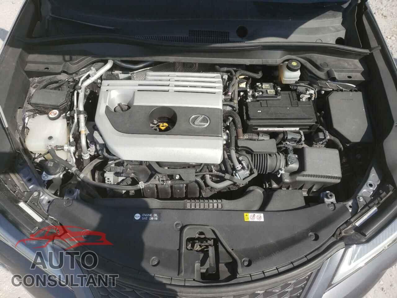 LEXUS UX 200 2019 - JTHY3JBH1K2009332