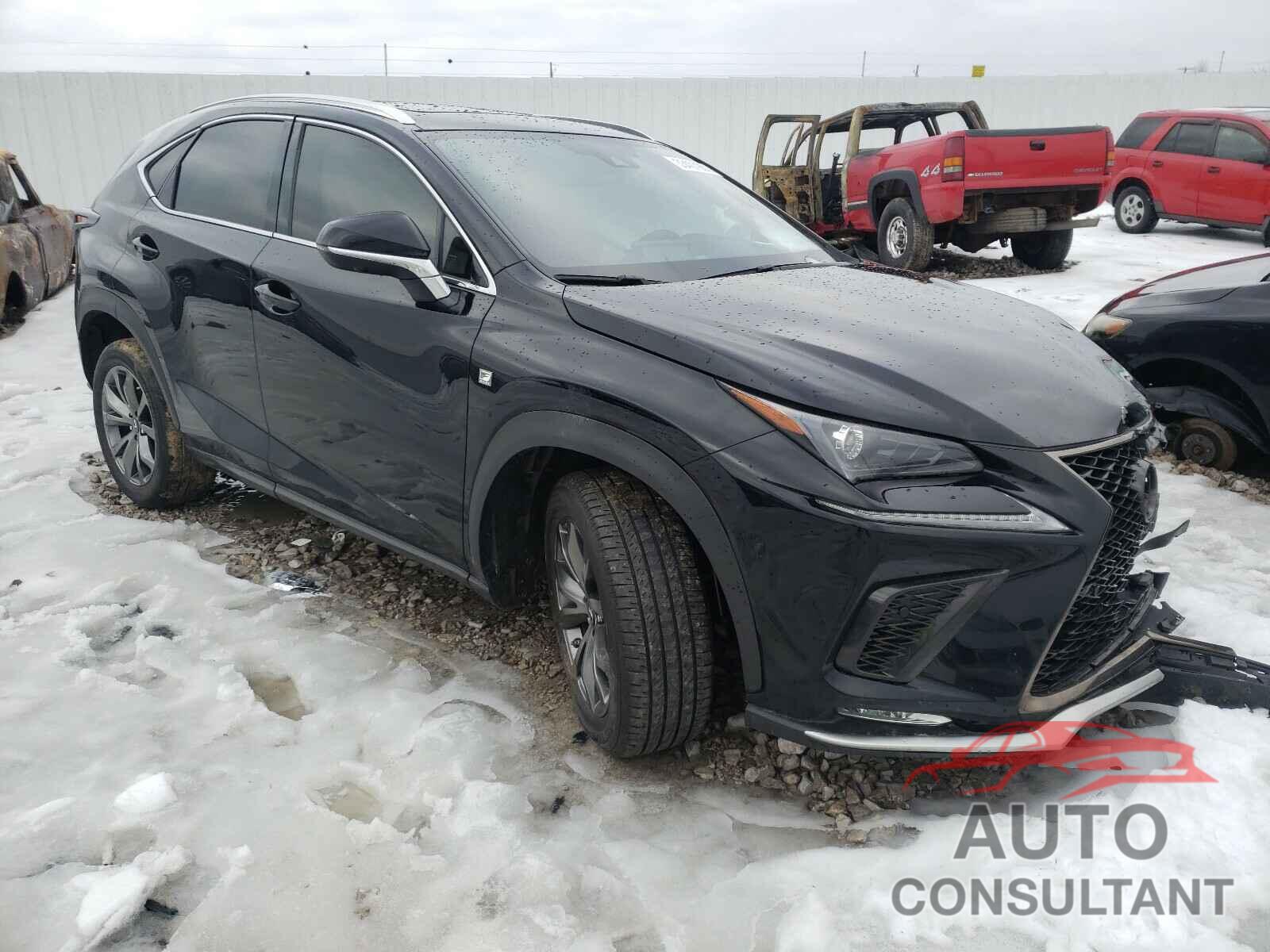 LEXUS NX 2020 - JTJSARBZ6L5005228