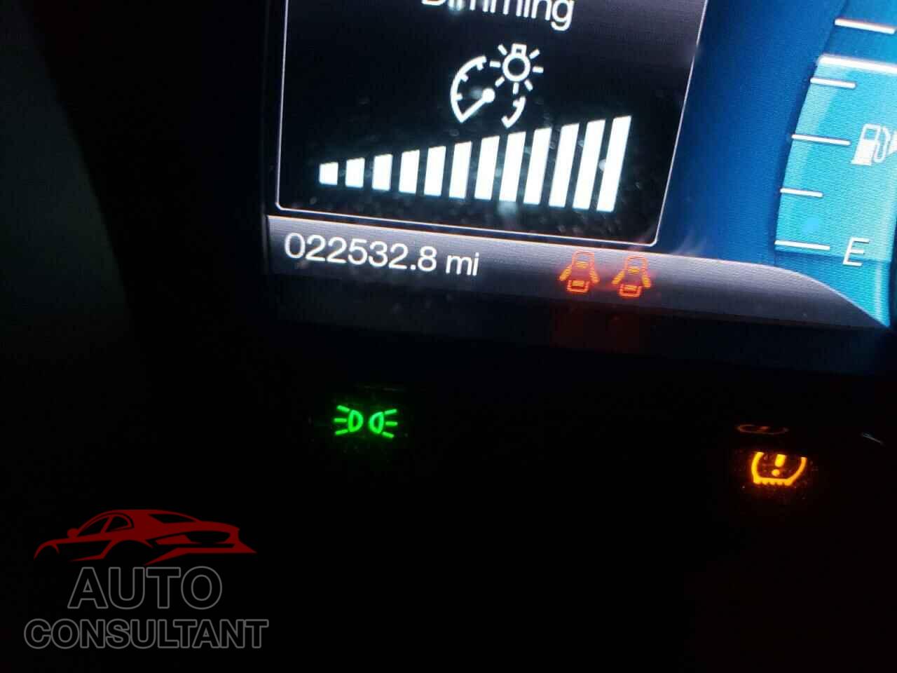 FORD FLEX 2019 - 2FMGK5C86KBA38014