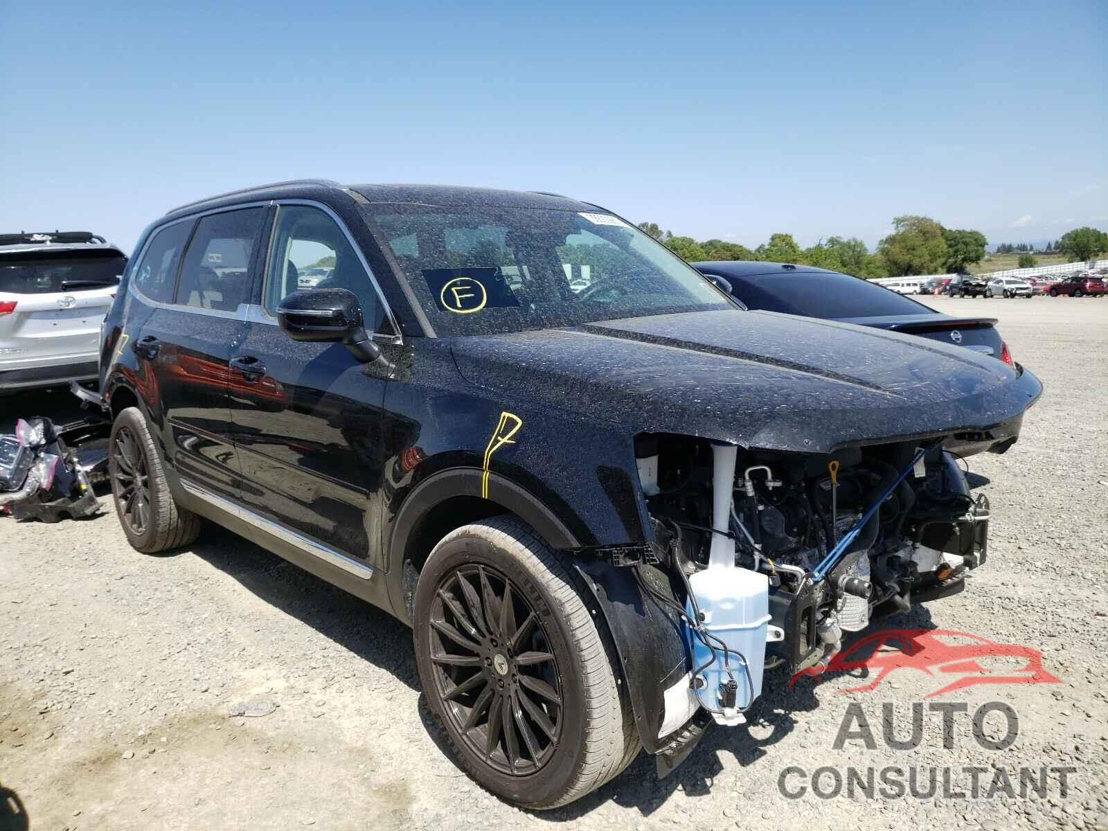 KIA TELLURIDE 2020 - 5XYP3DHC5LG075268