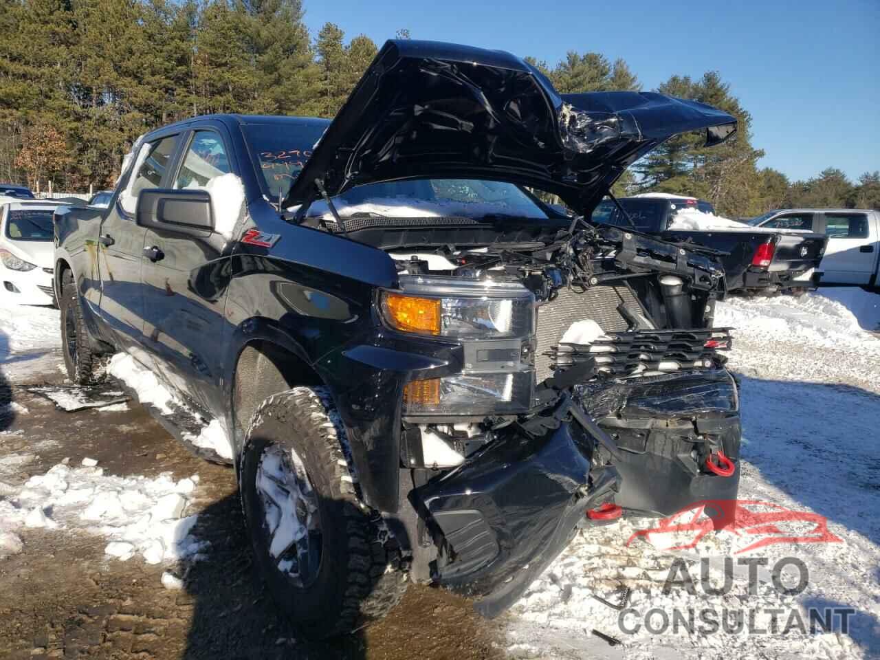 CHEVROLET SILVERADO 2019 - 1GCPYCEH1KZ225470