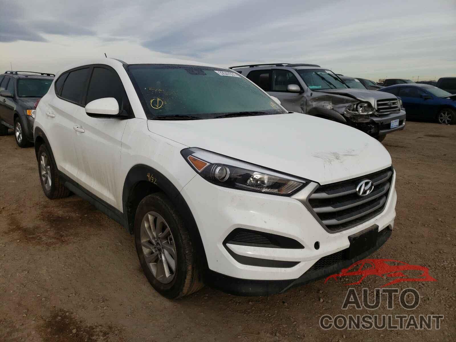 HYUNDAI TUCSON 2018 - KM8J2CA42JU764343