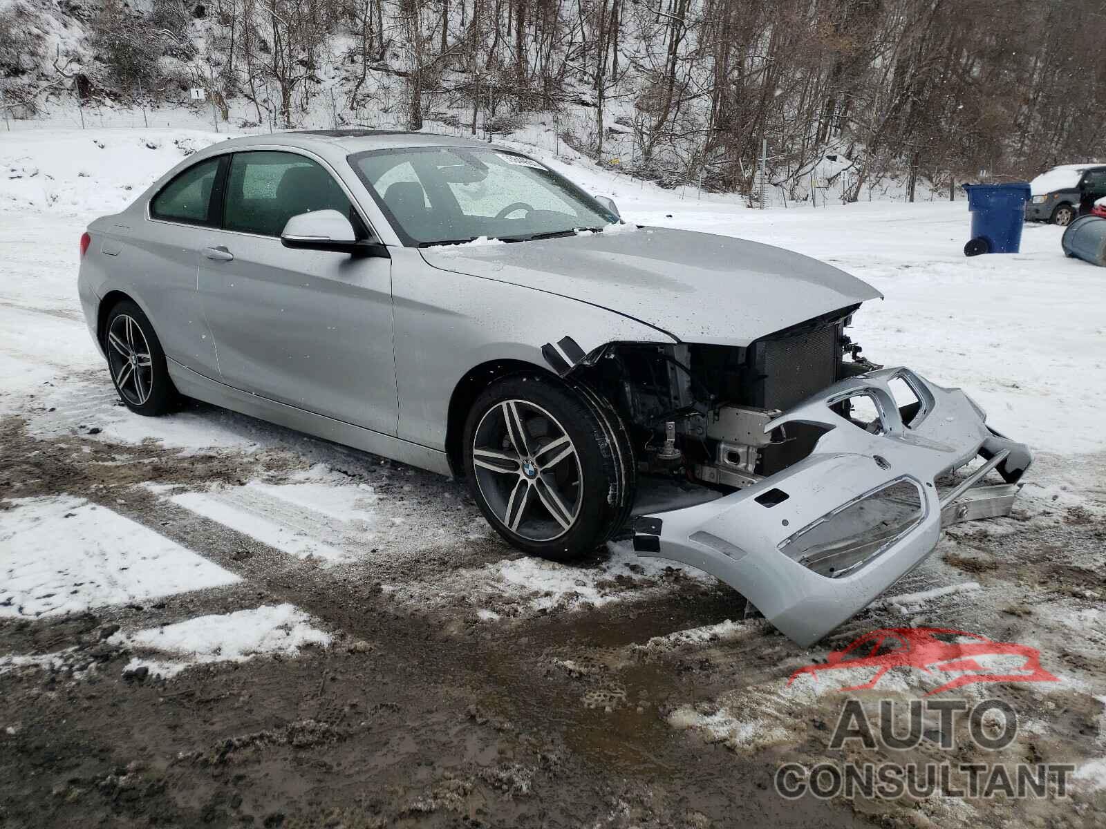 BMW 2 SERIES 2017 - WBA2F9C54HV664414