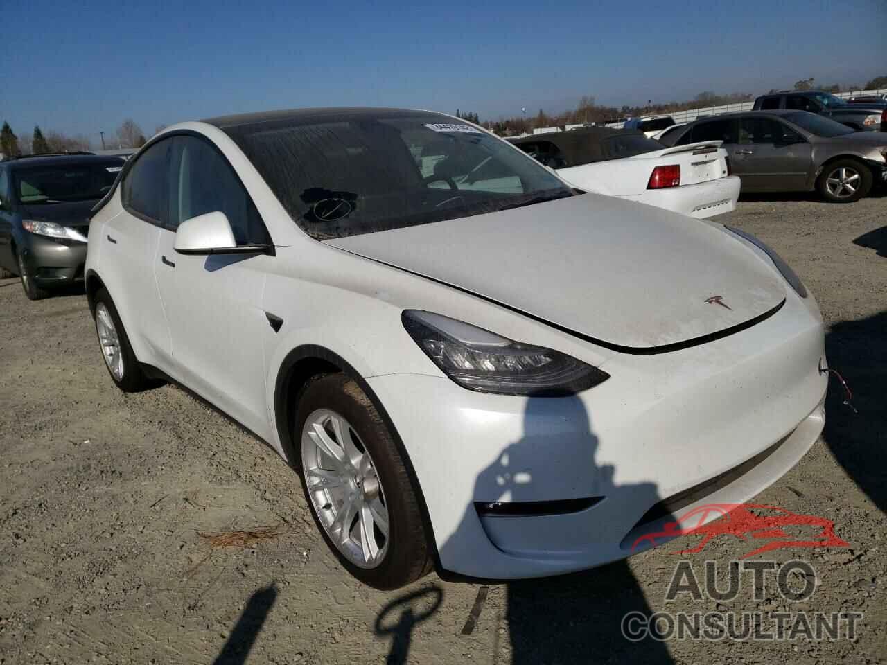 TESLA MODEL Y 2021 - 5YJYGDEE8MF200805