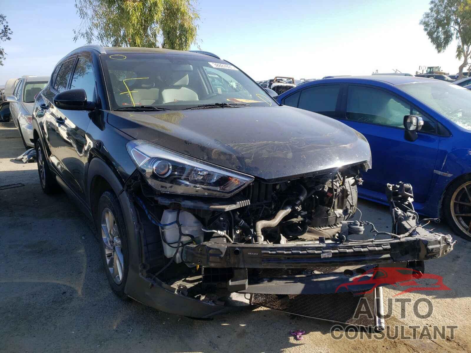 HYUNDAI TUCSON 2016 - KM8J33A49GU135331
