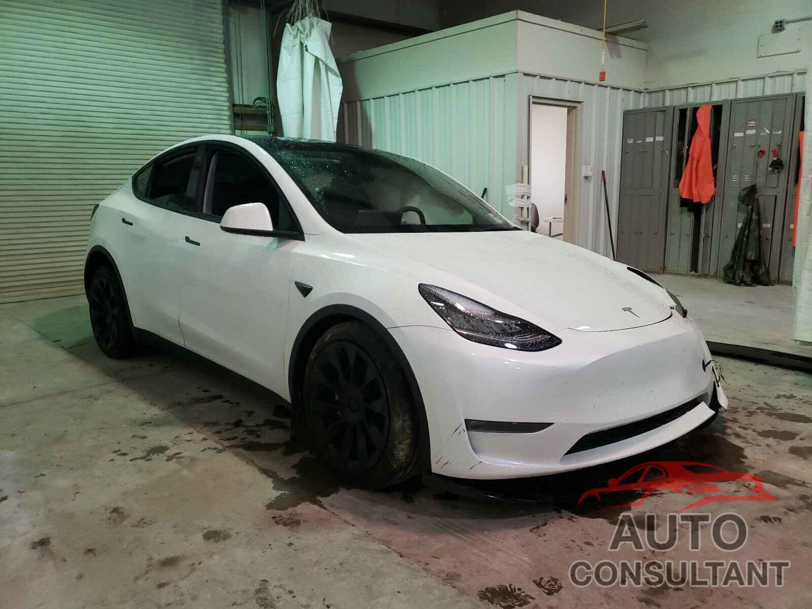 TESLA MODEL Y 2021 - 5YJYGDEE7MF123800