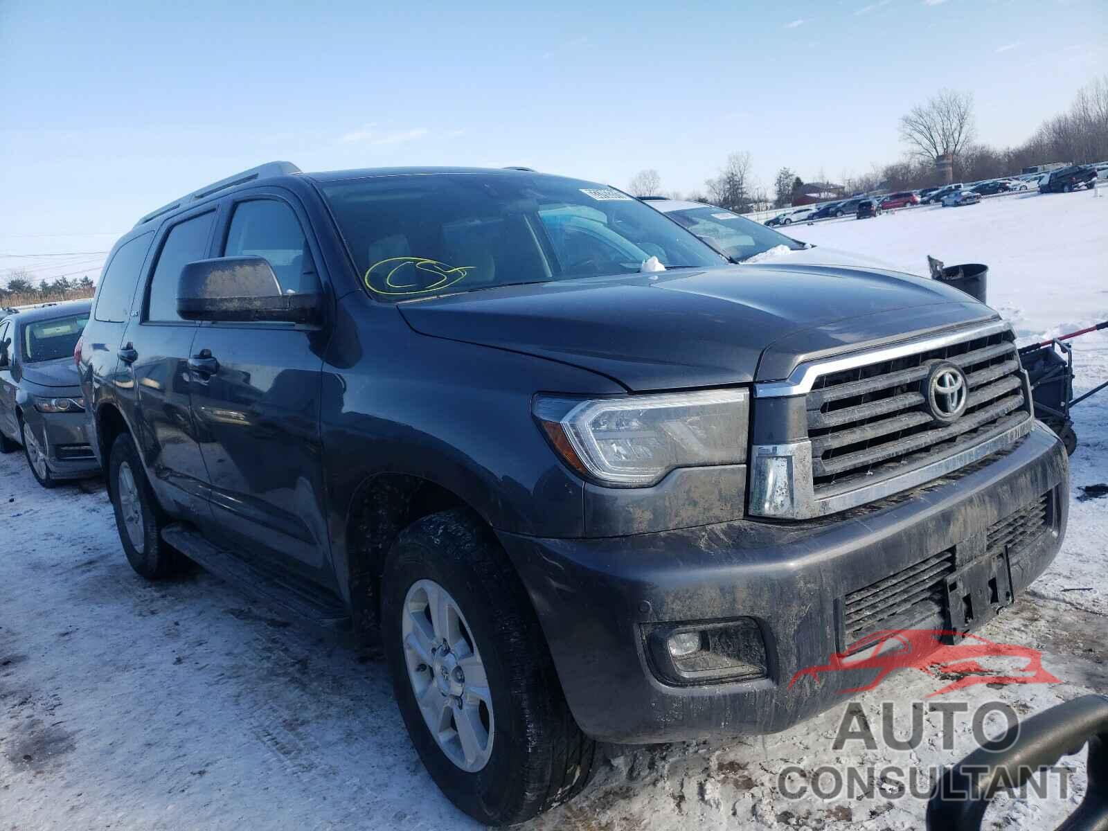 TOYOTA SEQUOIA 2019 - 5TDBY5G11KS169621