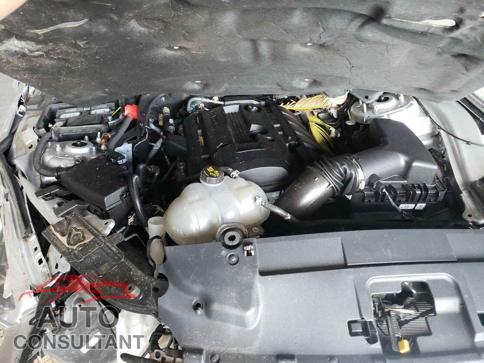 FORD MUSTANG 2019 - 1FA6P8THXK5111463