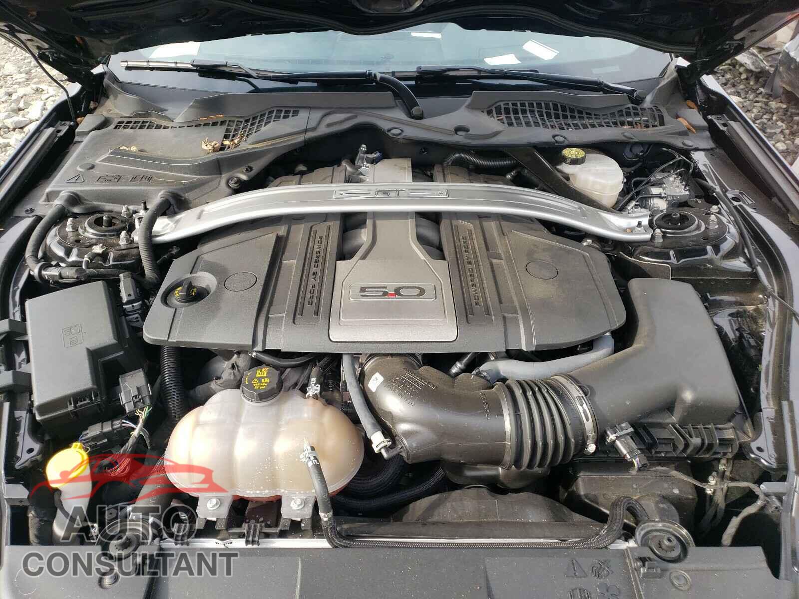 FORD MUSTANG 2019 - 1FA6P8CF3K5199089