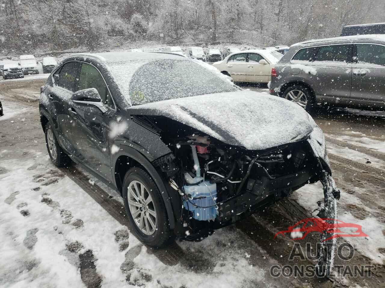 LEXUS NX 2020 - JTJDARDZ3L2230925