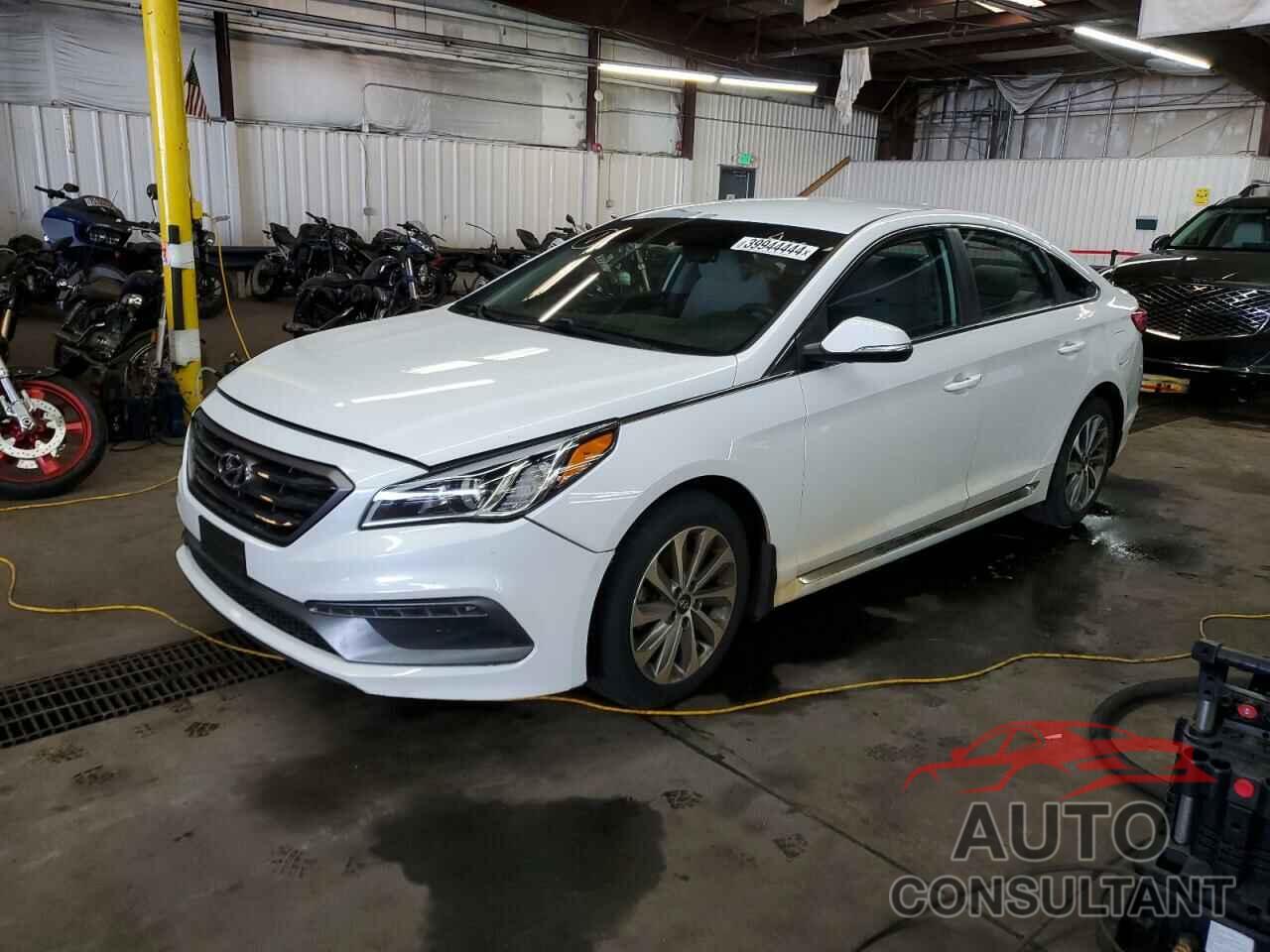 HYUNDAI SONATA 2017 - 5NPE34AF7HH479488