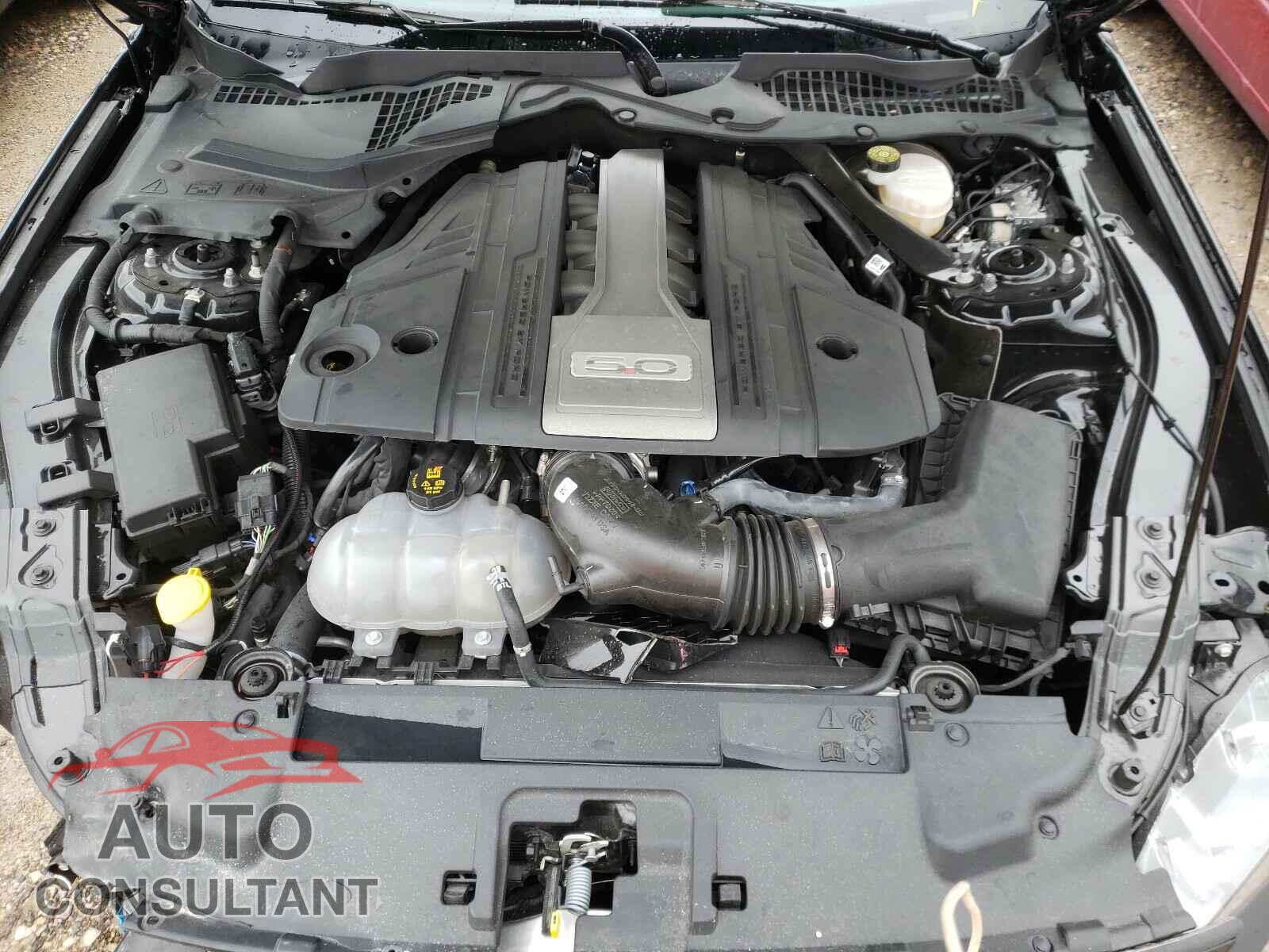 FORD MUSTANG 2019 - 1FA6P8CF4K5201531