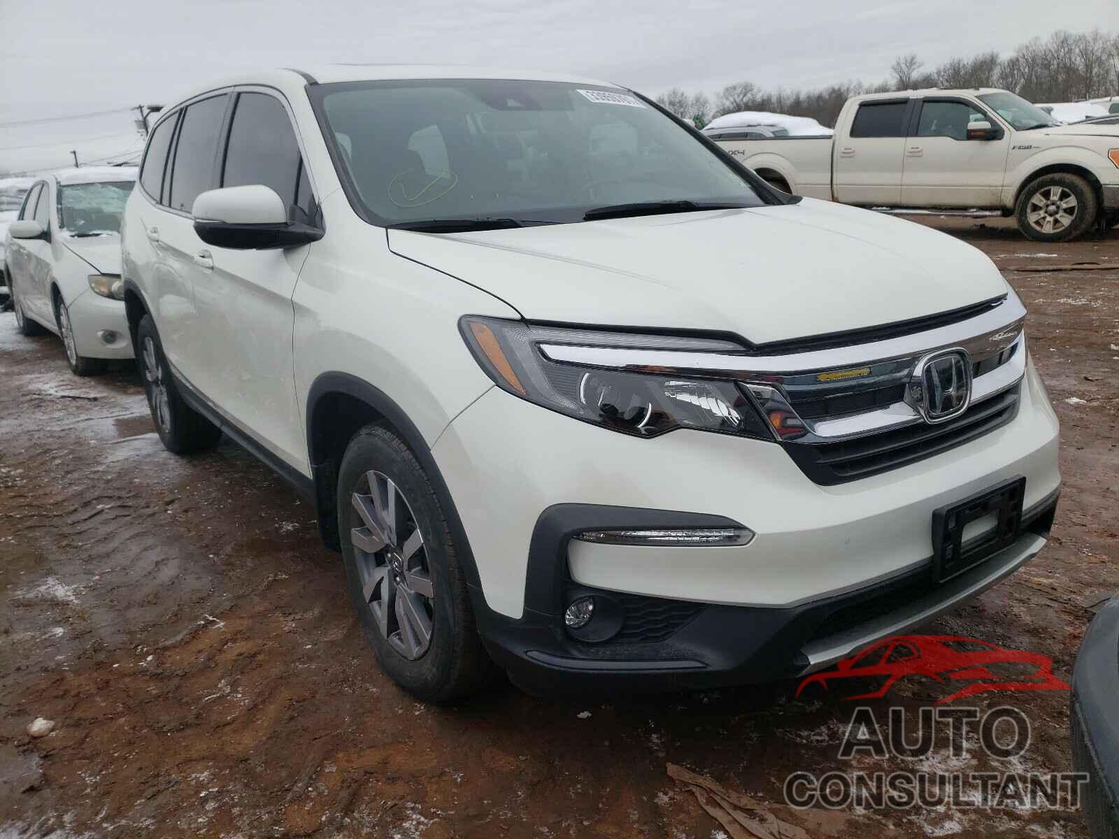 HONDA PILOT 2019 - 5FNYF6H52KB052660