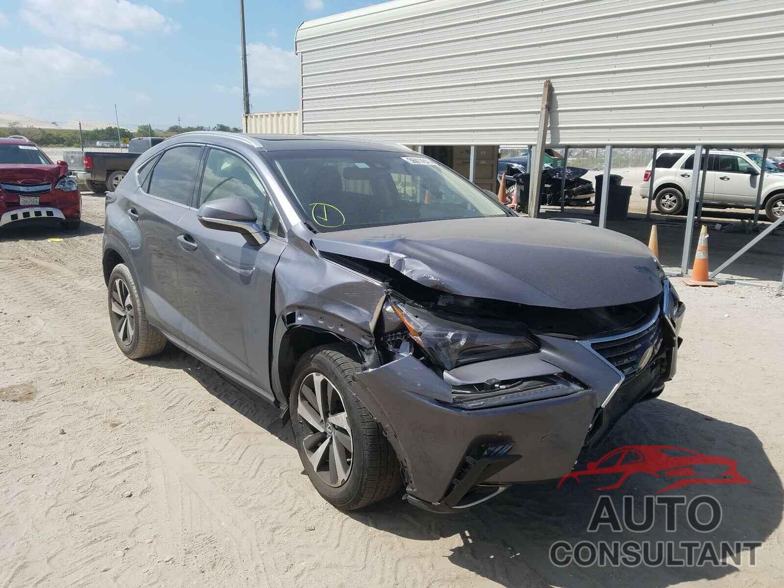 LEXUS NX 2019 - JTJYARBZ5K2149248