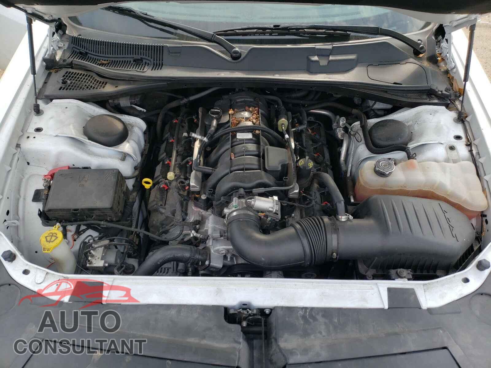 DODGE CHALLENGER 2019 - 2C3CDZBT8KH629232
