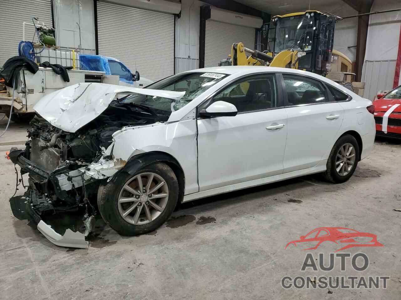 HYUNDAI SONATA 2019 - 5NPE24AF3KH818354
