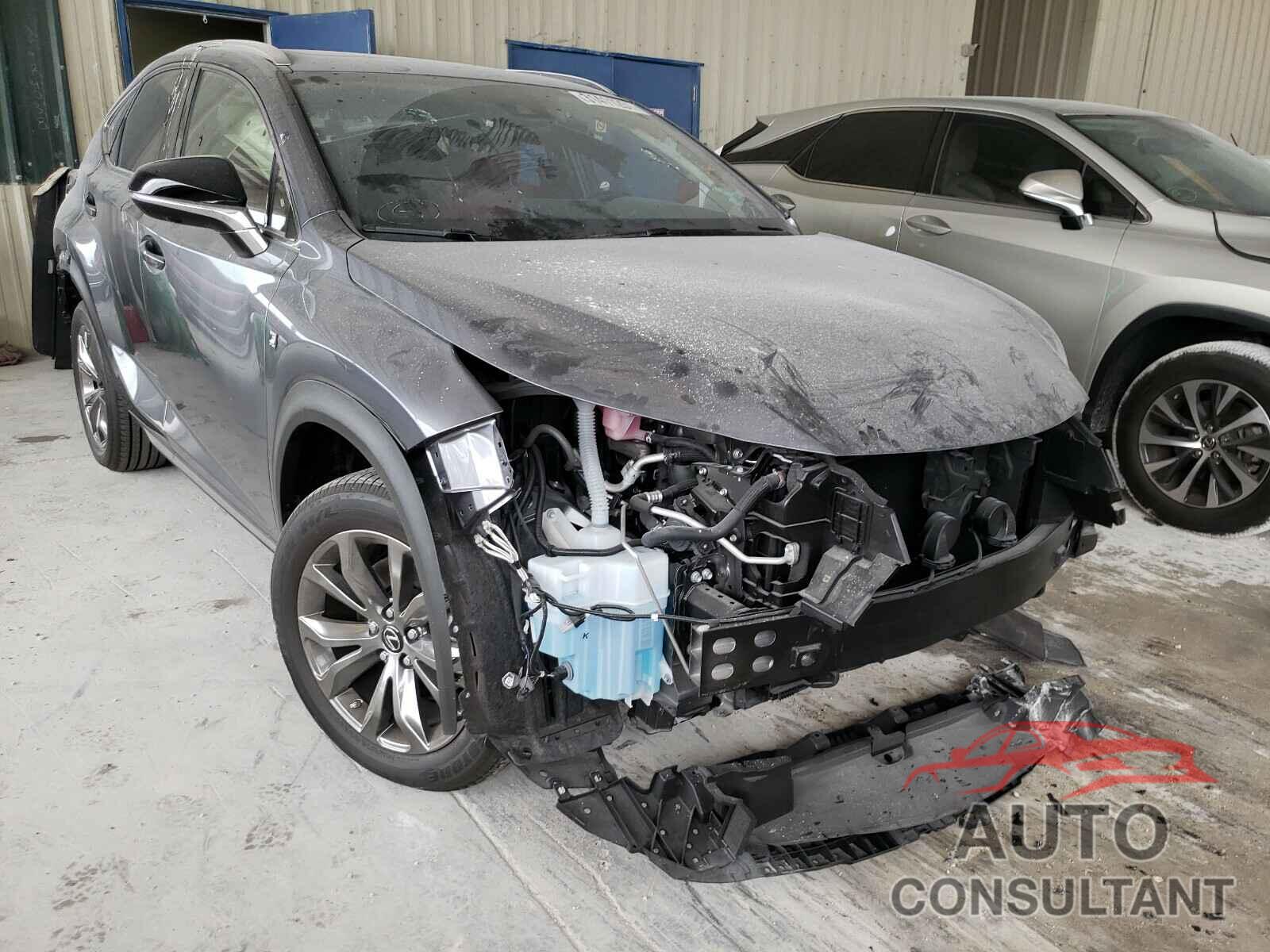 LEXUS NX 2020 - JTJSARBZ2L2175135