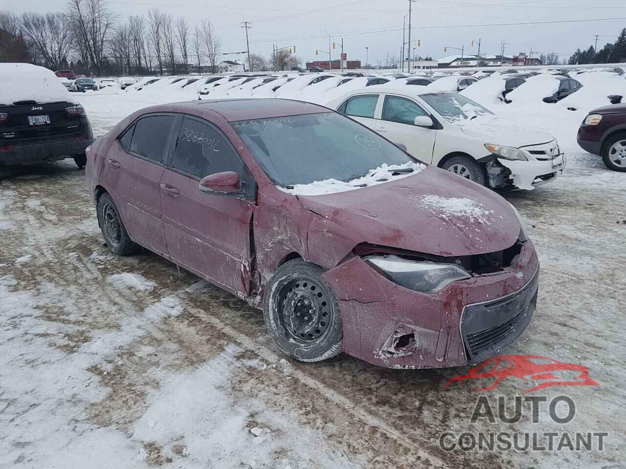 TOYOTA COROLLA 2016 - 2T1BURHE5GC516310