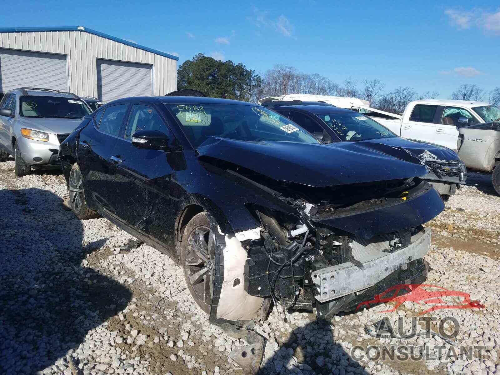 NISSAN MAXIMA 2019 - 1N4AA6AV4KC365688