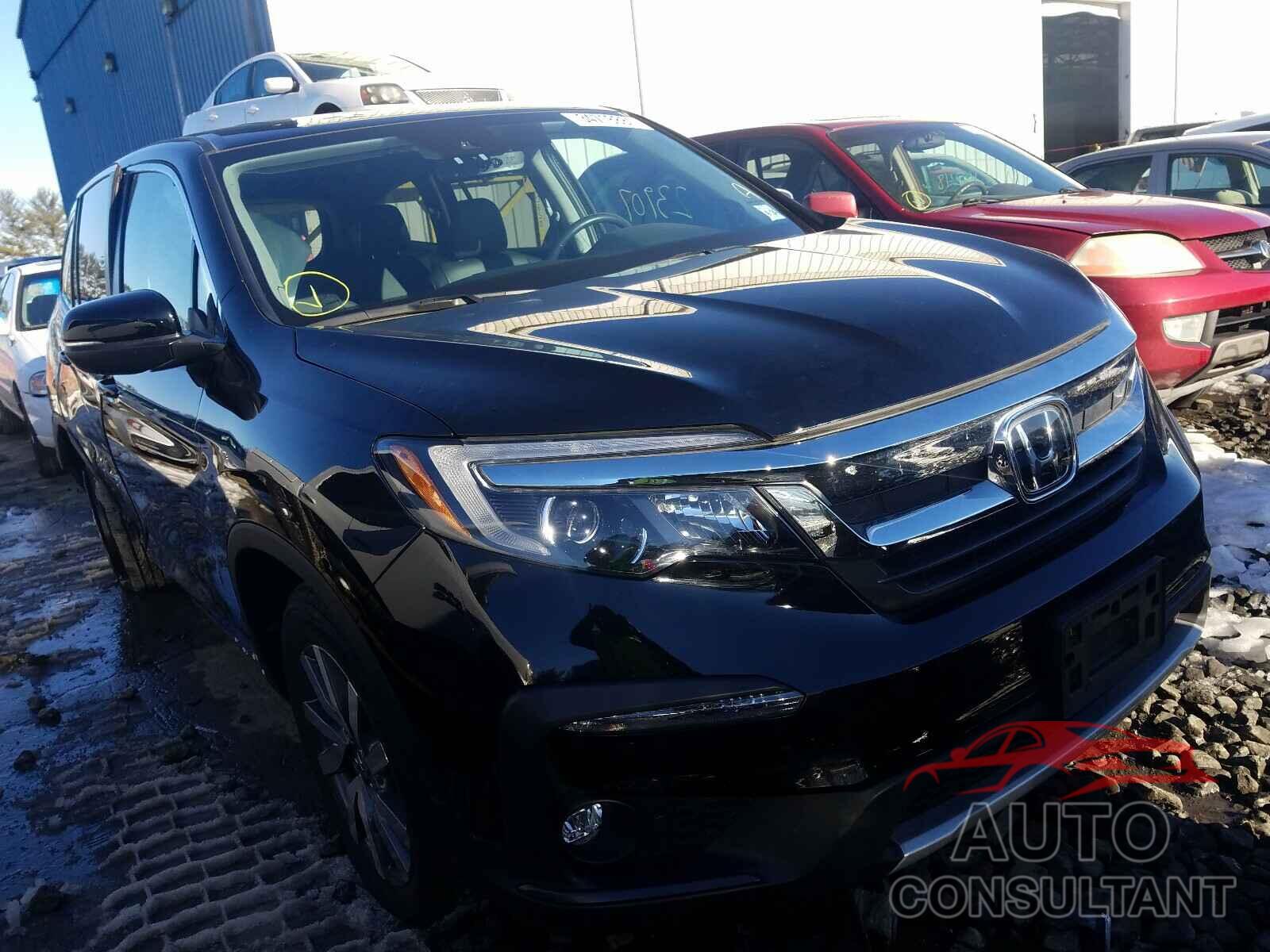HONDA PILOT 2019 - 5FNYF6H51KB064010
