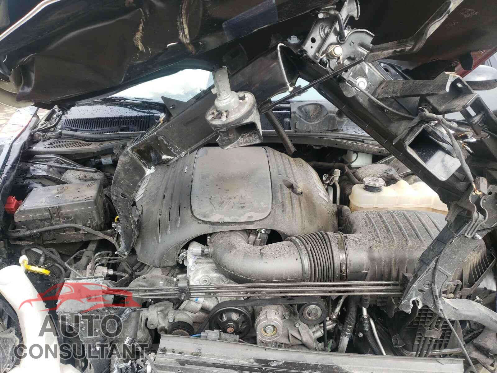 DODGE CHALLENGER 2019 - 2C3CDZBT5KH525135