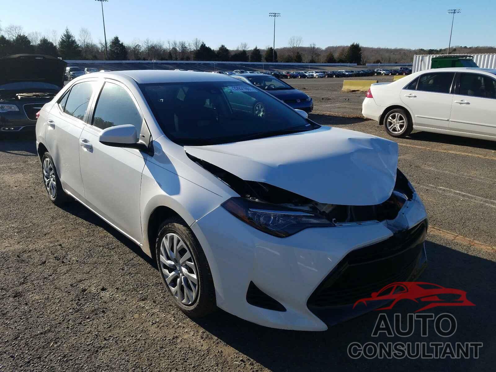 2019 COROLLA TOYOTA