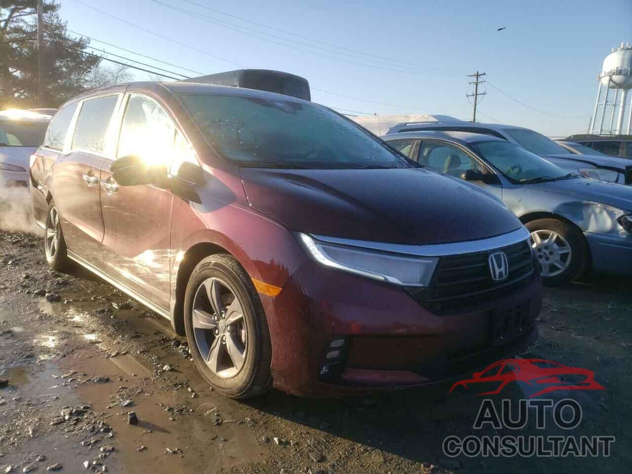 HONDA ODYSSEY 2021 - 5FNRL6H56MB016311