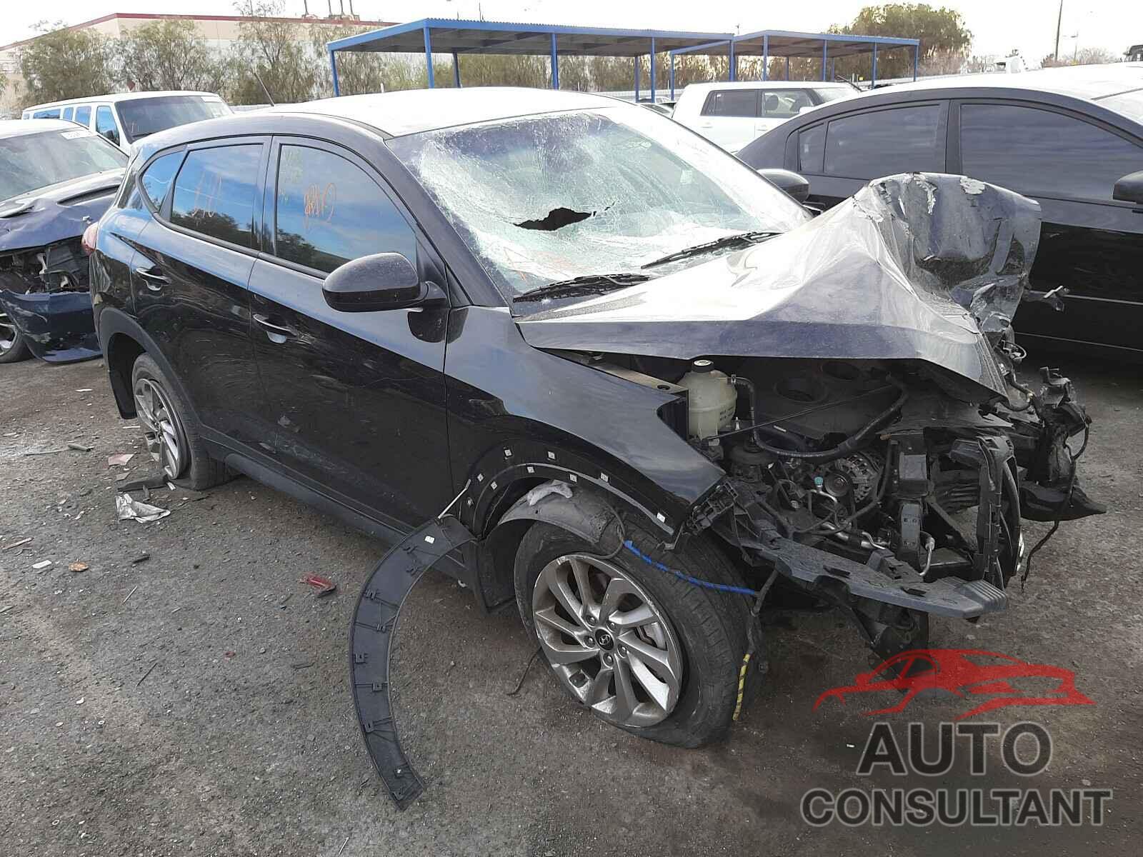 HYUNDAI TUCSON 2017 - KM8J23A42HU375566