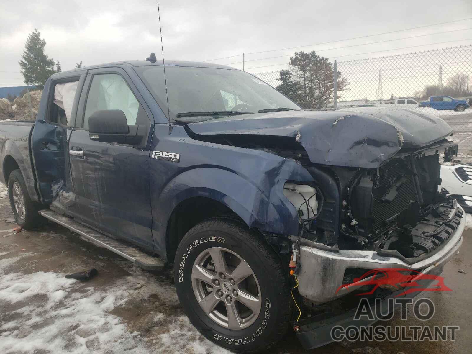 FORD F150 2019 - 1FTEW1EP0KFB16055