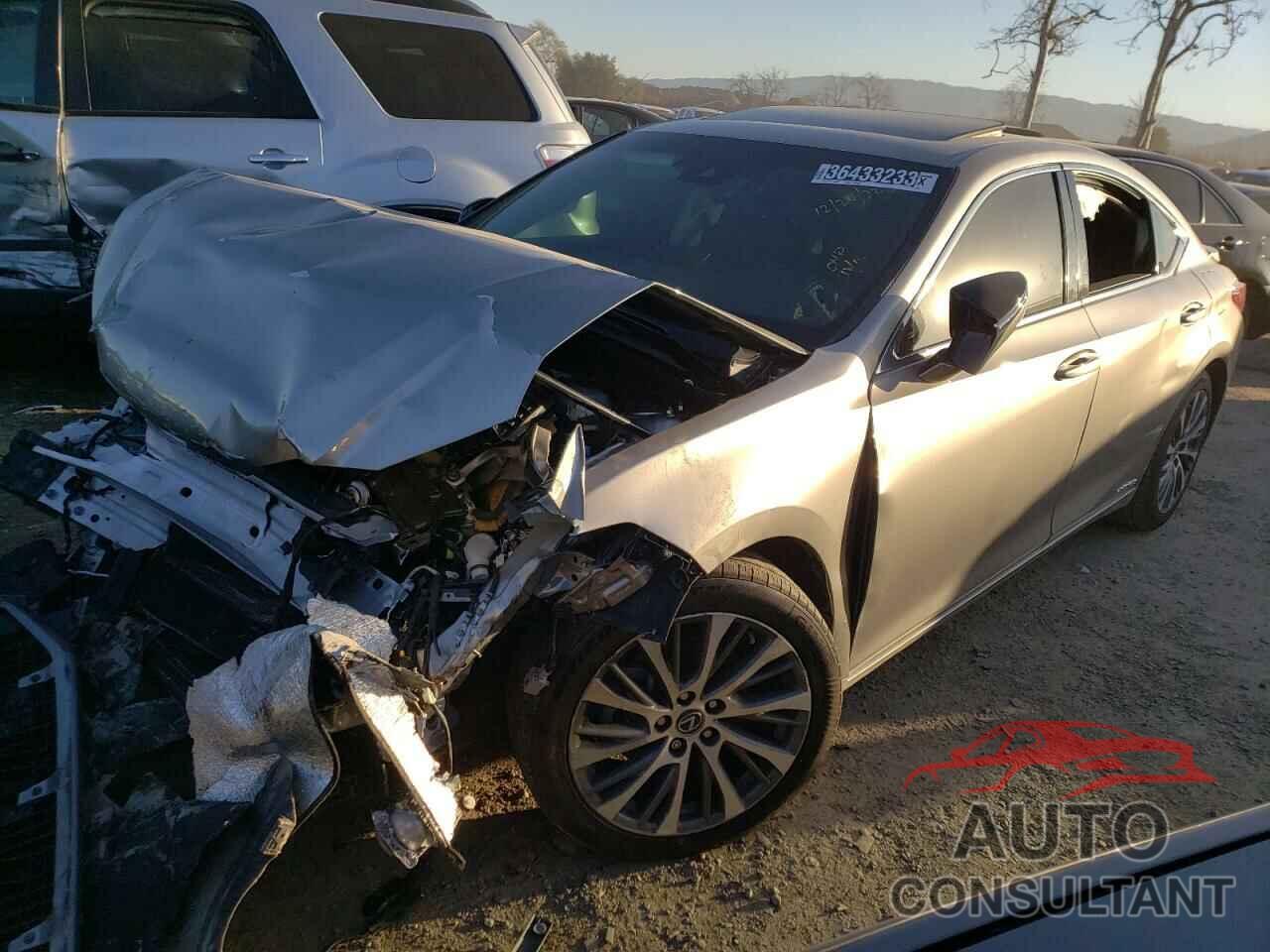 LEXUS ES300 2019 - 58AB21B16KU001961