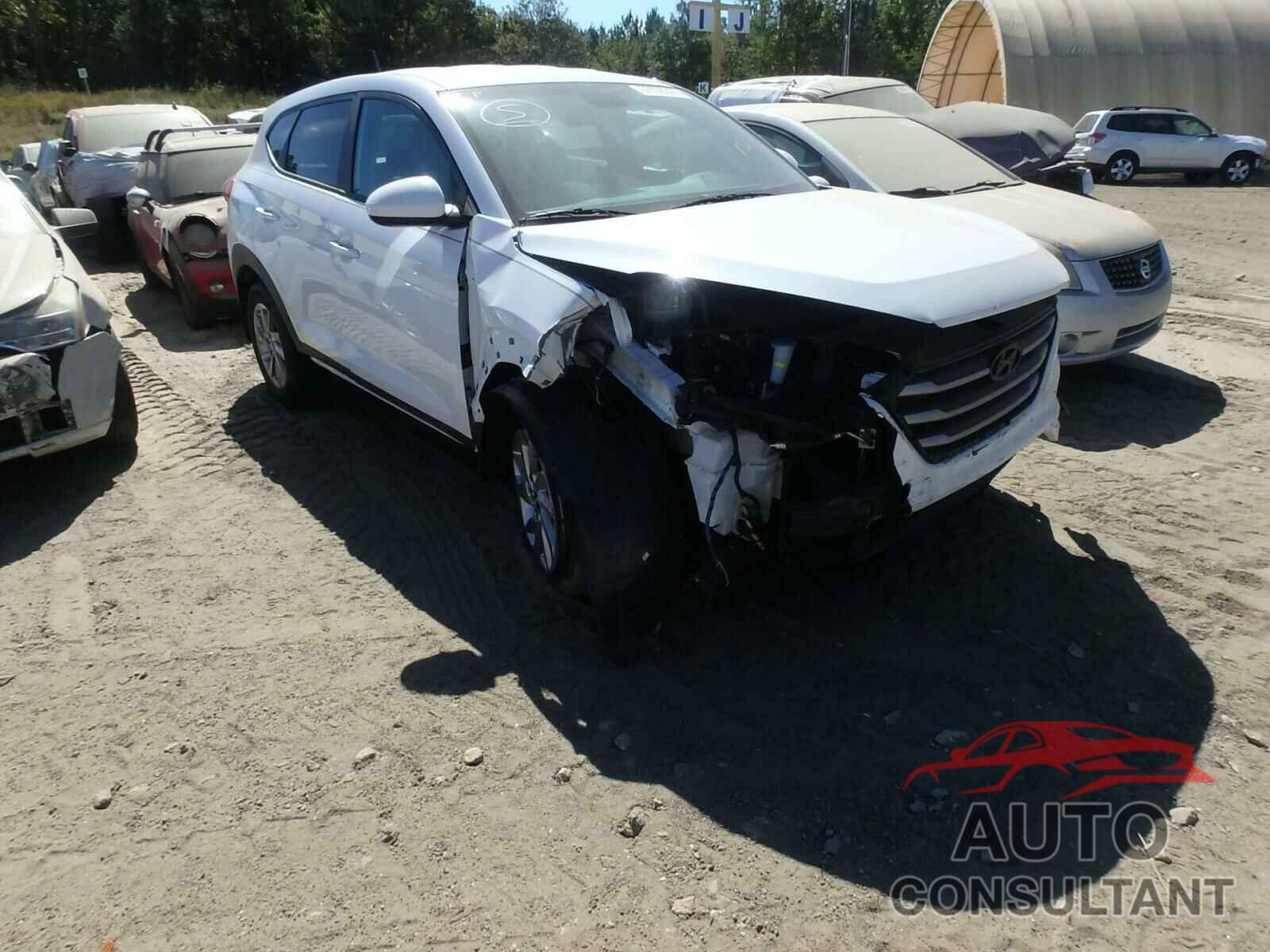 HYUNDAI TUCSON 2017 - KM8J23A43HU262631