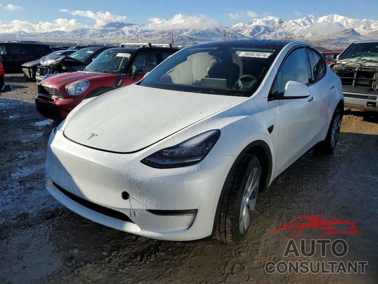 TESLA MODEL Y 2023 - 7SAYGDEE7PA149897