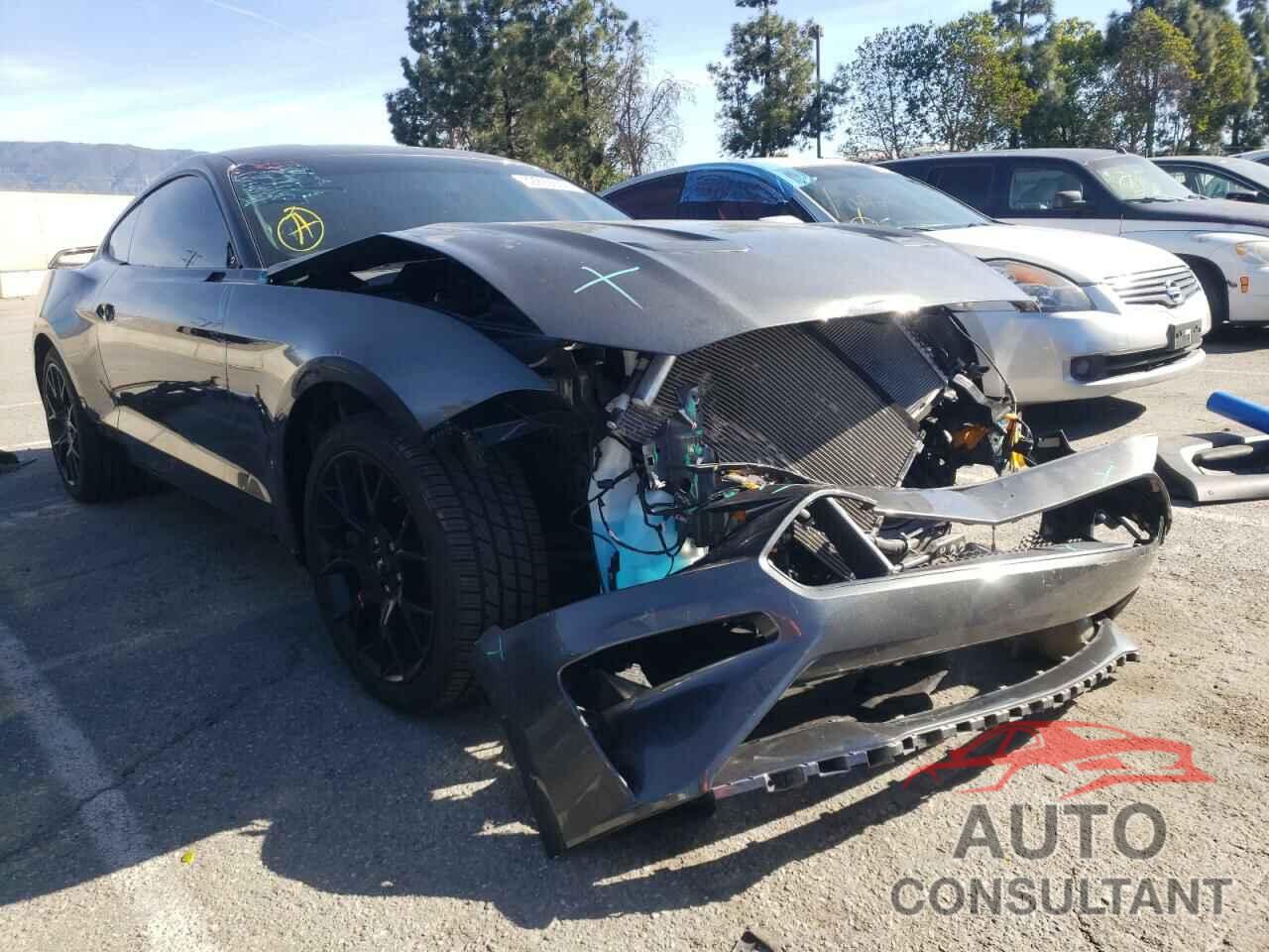 FORD MUSTANG 2019 - 1FA6P8TH7K5181289