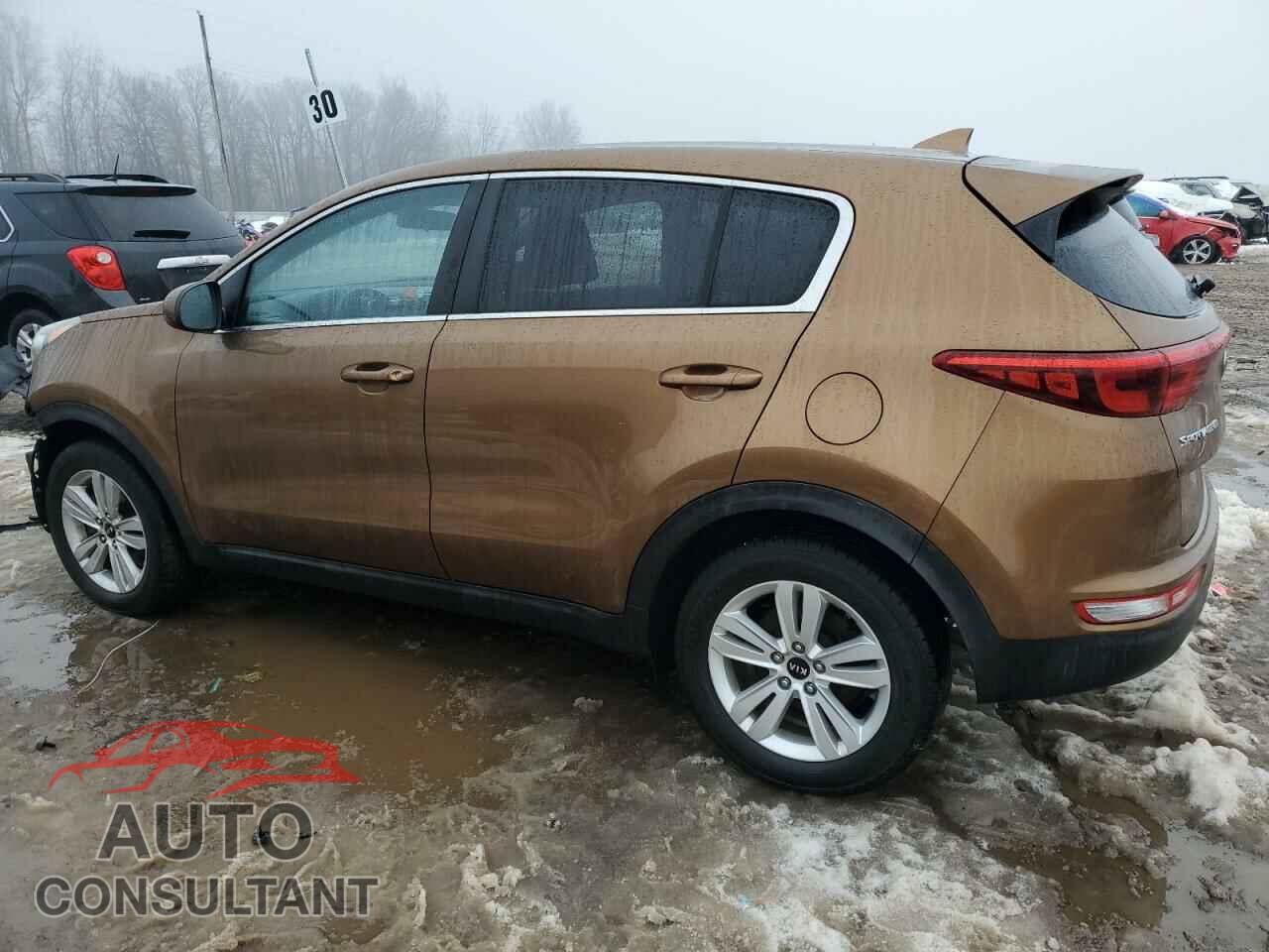 KIA SPORTAGE 2017 - KNDPM3AC9H7038455