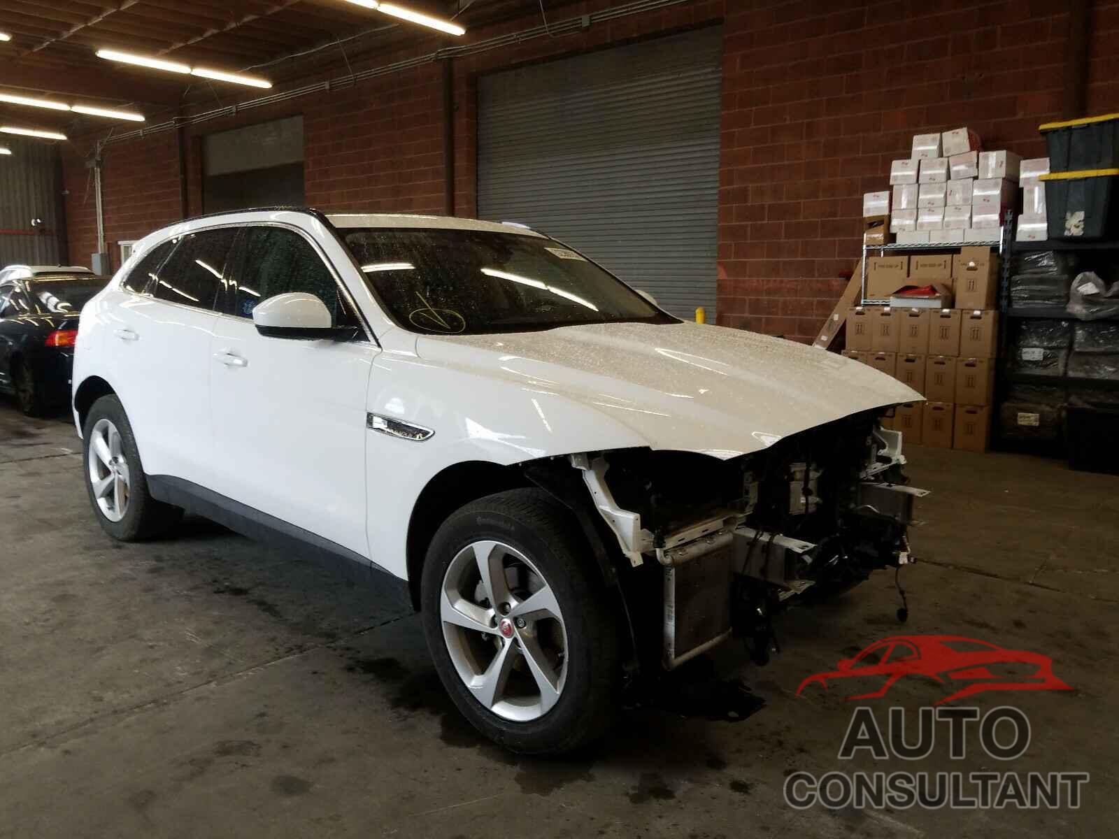 JAGUAR F-PACE 2019 - SADCJ2FX5KA601402