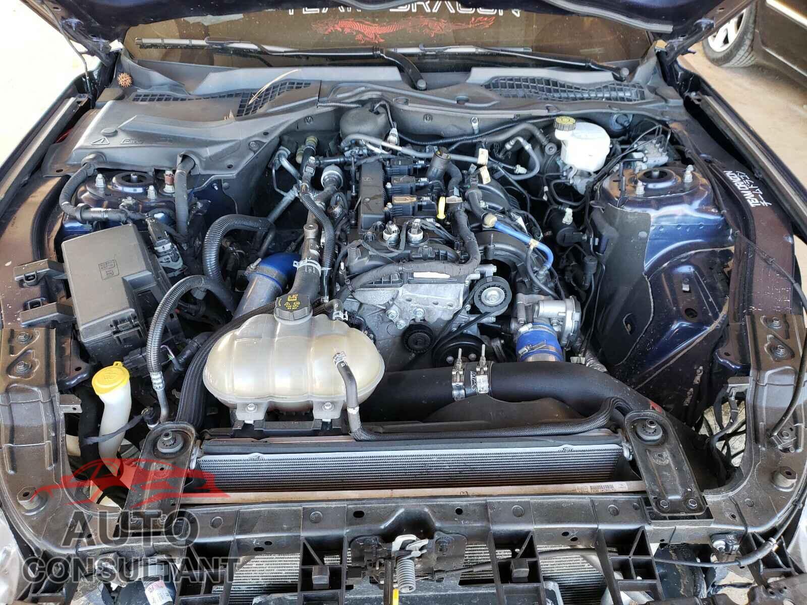 FORD MUSTANG 2019 - 1FA6P8TH1K5199285