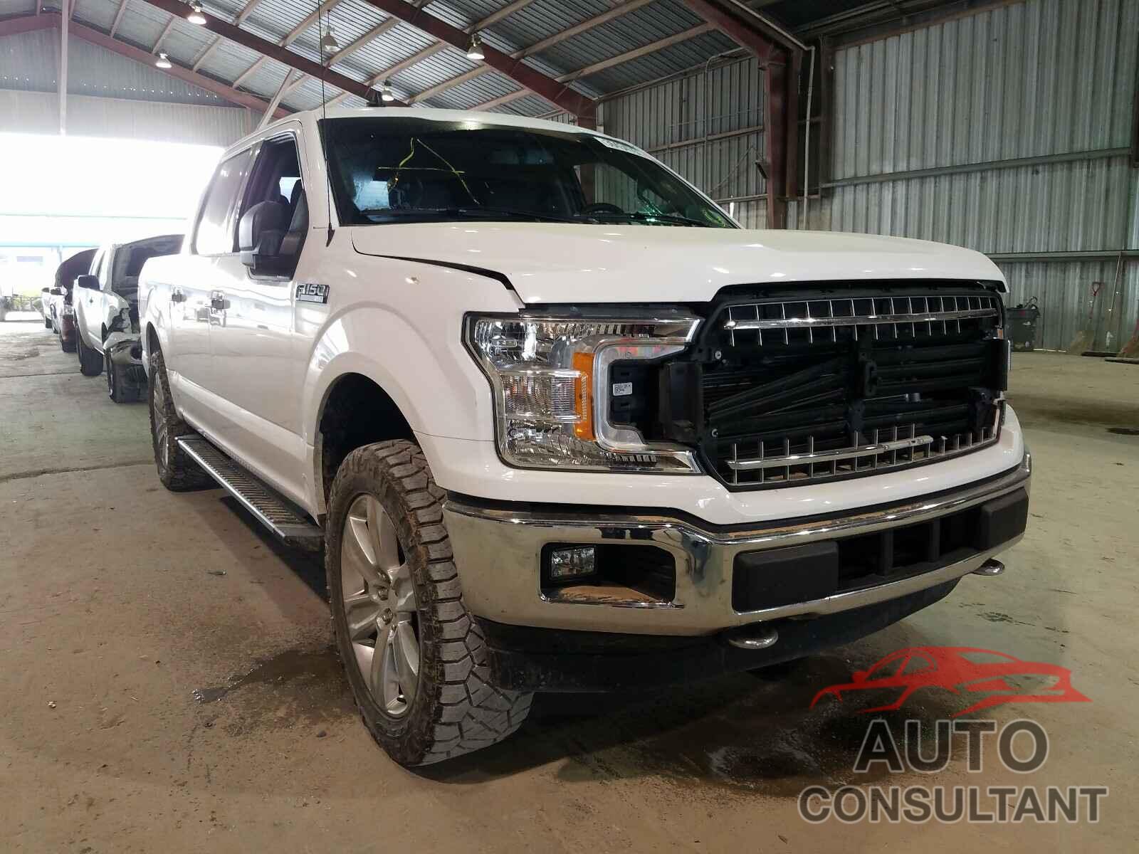 FORD F150 2019 - 1FTEW1EP4KKF22539