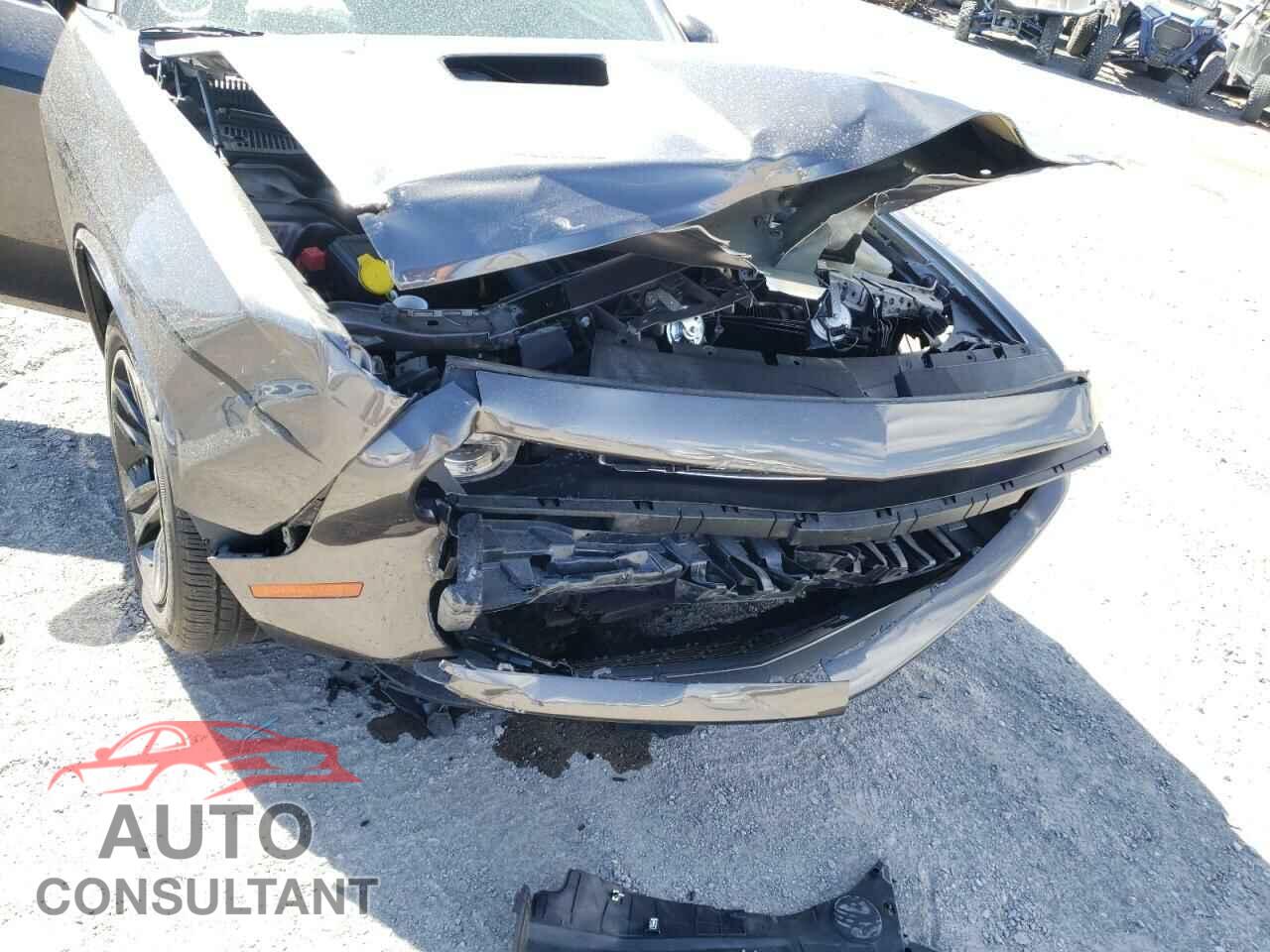 DODGE CHALLENGER 2019 - 2C3CDZAG3KH596550