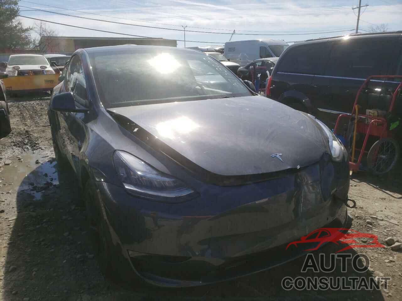 TESLA MODEL Y 2021 - 5YJYGDEE7MF254239