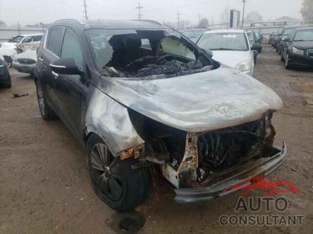 KIA SPORTAGE 2016 - KNDPC3AC1G7870888