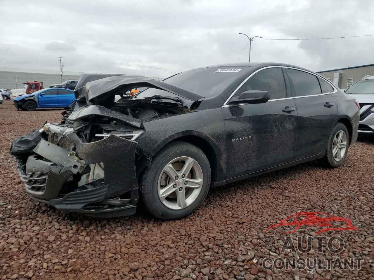 CHEVROLET MALIBU 2019 - 1G1ZB5ST5KF215517