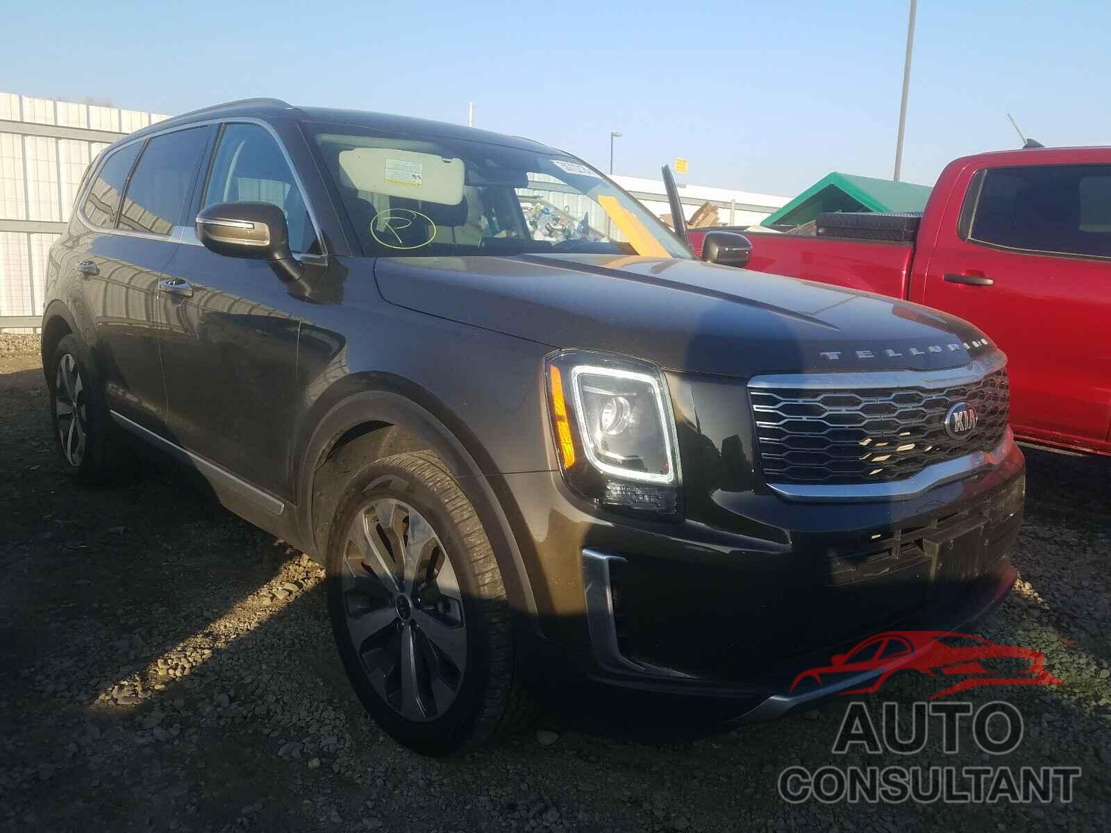 KIA TELLURIDE 2020 - 5XYP64HC6LG069406