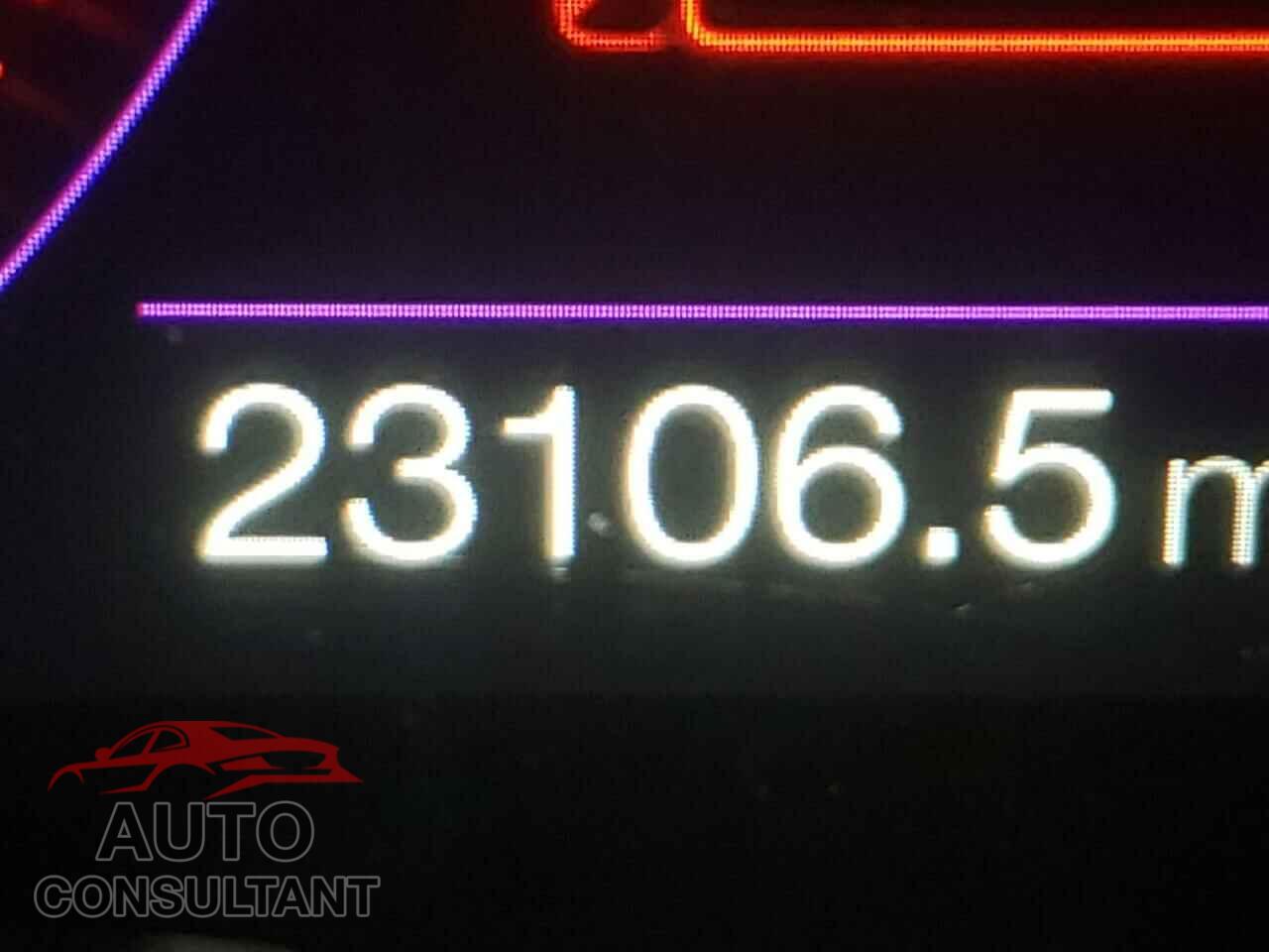FORD MUSTANG 2019 - 1FA6P8CF2K5193297