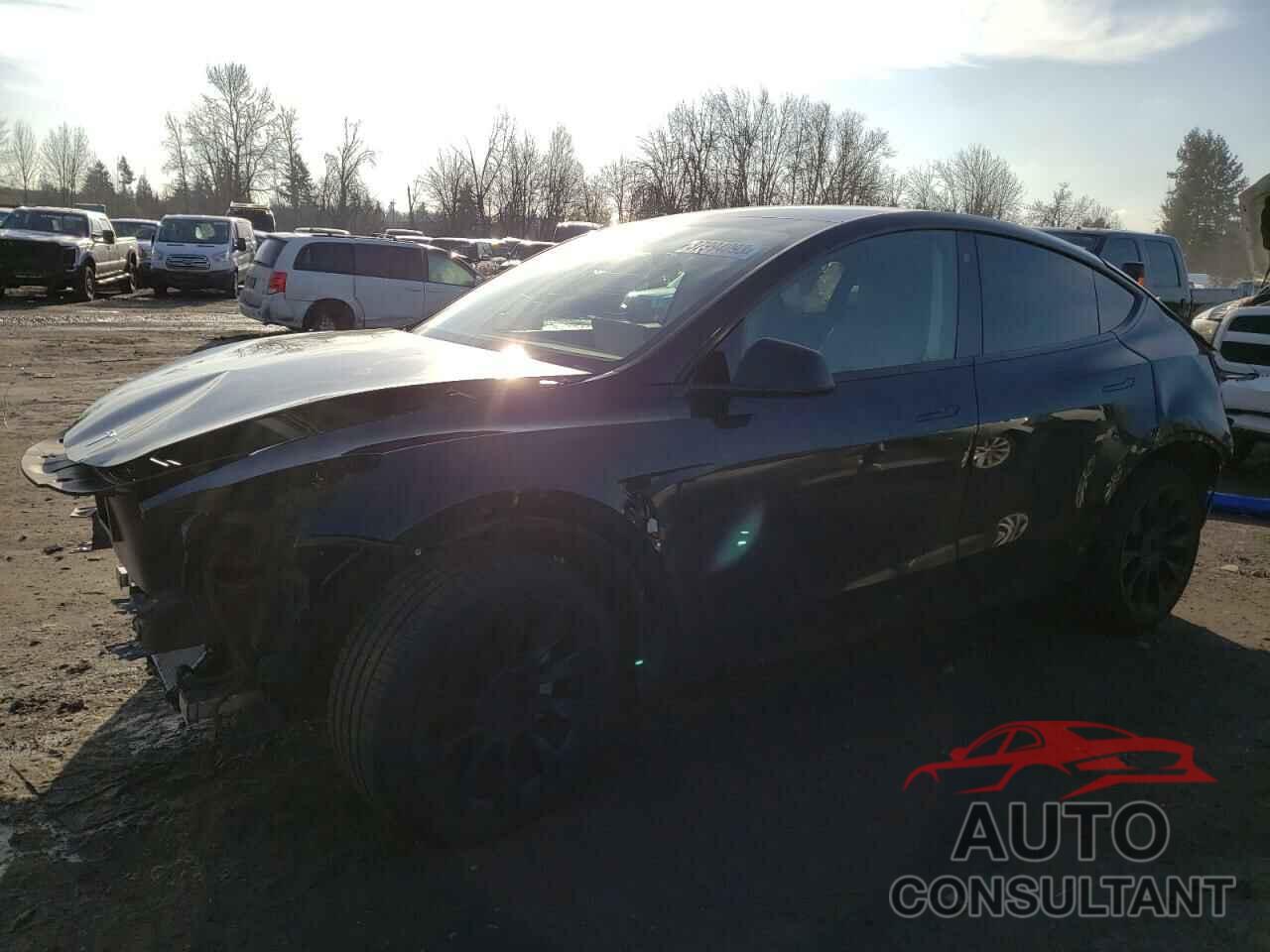 TESLA MODEL Y 2021 - 5YJYGDEE1MF215422