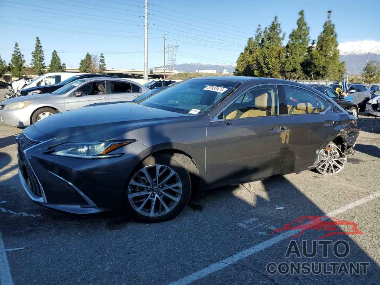 LEXUS ES300 2022 - 58ACA1C15NU015165